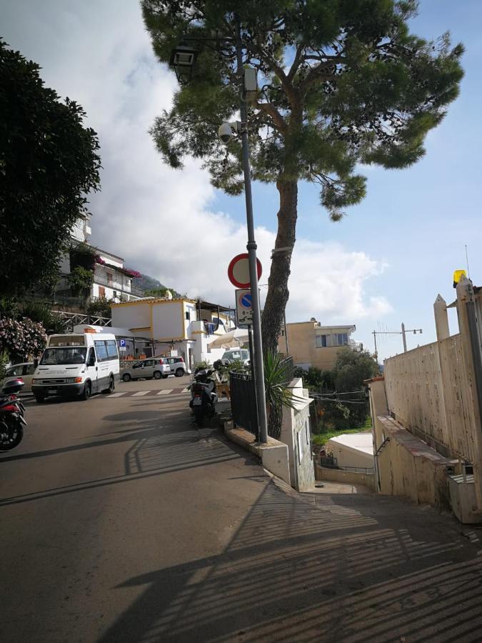 Casa I Girasoli 普莱亚诺 外观 照片