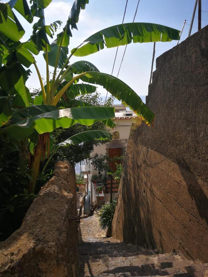 Casa I Girasoli 普莱亚诺 外观 照片